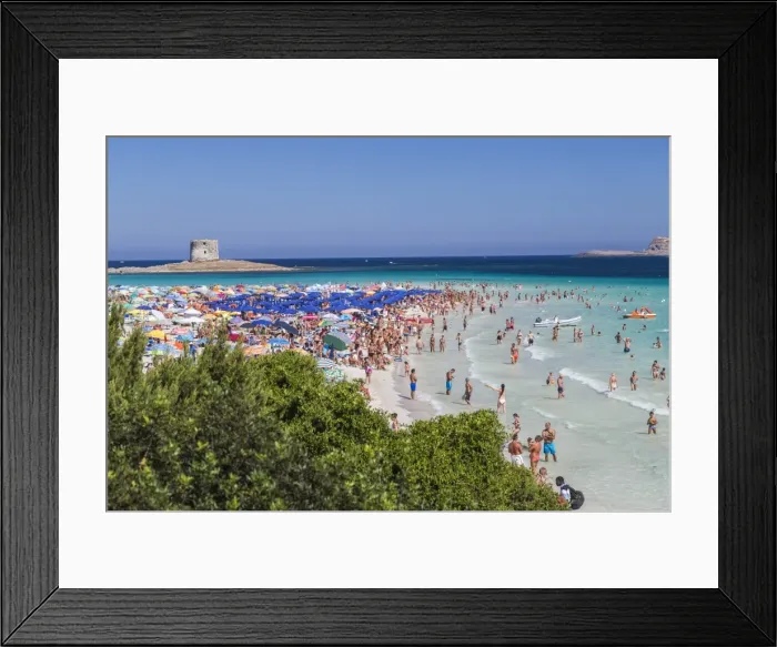 Framed Print : Tourists and beach umbrellas at La Pelosa Beach, Stintino, Asinara National Park Framed Print : Tourists and beach umbrellas at La Pelosa Beach, Stintino, Asinara National Park