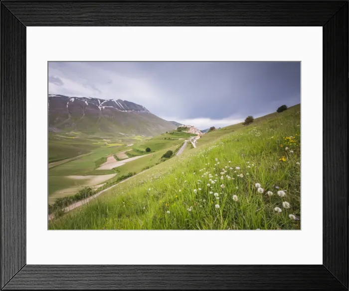 Framed Print : The green hills in bloom frame the medieval village, Castelluccio di Norcia, Province of Perugia Framed Print : The green hills in bloom frame the medieval village, Castelluccio di Norcia, Province of Perugia