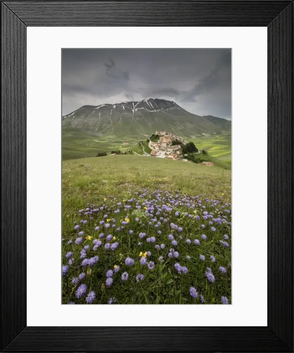 Framed Print : Colorful flowers in bloom frame the medieval village, Castelluccio di Norcia, Province of Perugia Framed Print : Colorful flowers in bloom frame the medieval village, Castelluccio di Norcia, Province of Perugia