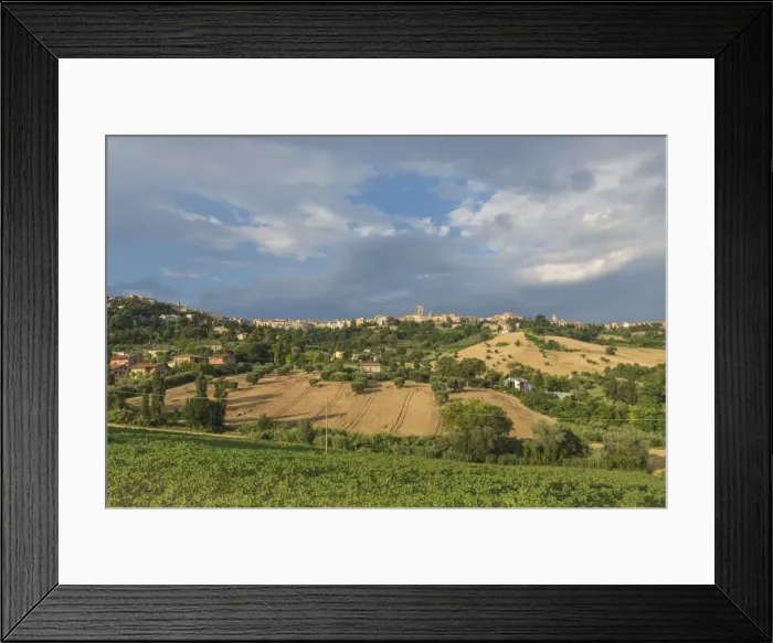 Framed Print : The green fields of countryside around the medieval hill town of Recanati, Province of Macerata Framed Print : The green fields of countryside around the medieval hill town of Recanati, Province of Macerata
