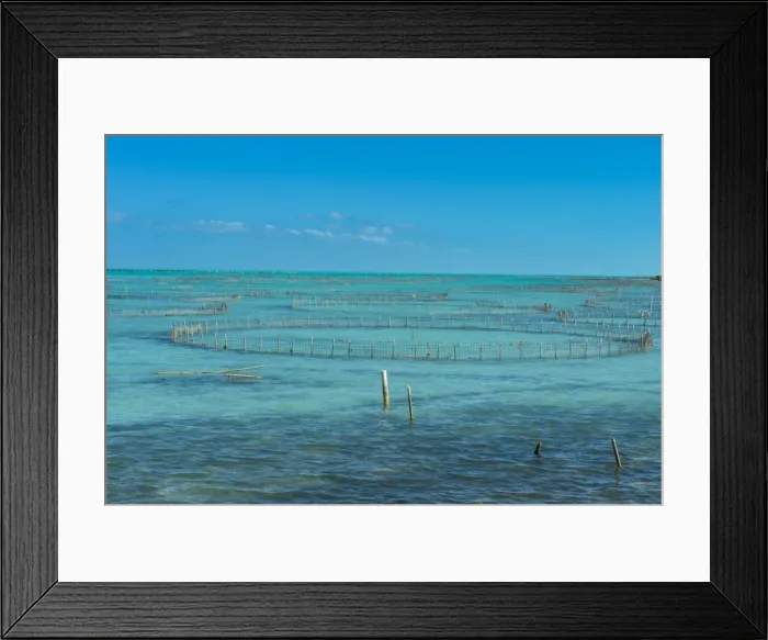 Framed Print : Caicos conch farm, Providenciales, Turks and Caicos, Caribbean, Central America Framed Print : Caicos conch farm, Providenciales, Turks and Caicos, Caribbean, Central America