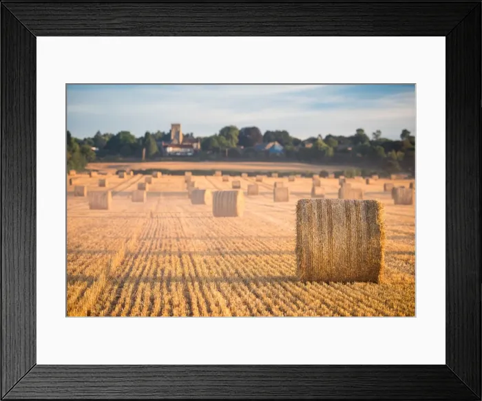 Framed Print : Hay bales in the Cuddesdon countryside, Oxfordshire, England, United Kingdom, Europe Framed Print : Hay bales in the Cuddesdon countryside, Oxfordshire, England, United Kingdom, Europe