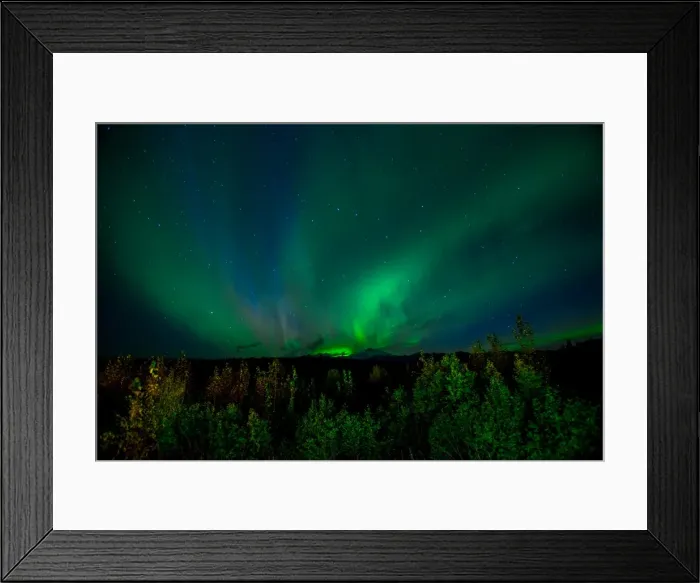 Framed Print : Aurora Borealis (Northern Lights) viewed from Denali Princess Wilderness Lodge, Denali Framed Print : Aurora Borealis (Northern Lights) viewed from Denali Princess Wilderness Lodge, Denali