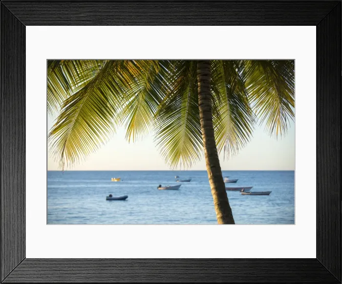 Framed Print : A view out to sea at sunset beneath the palm trees at Castara Bay in Tobago, Trinidad and Tobago Framed Print : A view out to sea at sunset beneath the palm trees at Castara Bay in Tobago, Trinidad and Tobago