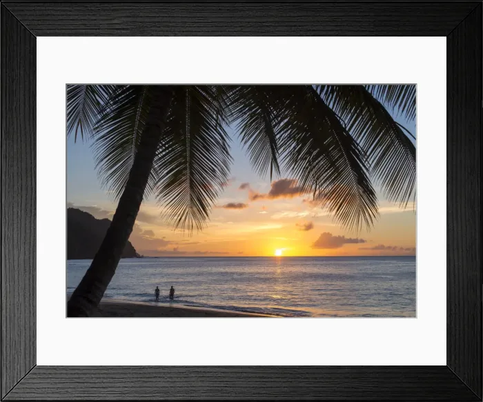 Framed Print : A view out to sea at sunset beneath the palm trees at Castara Bay in Tobago, Trinidad and Tobago Framed Print : A view out to sea at sunset beneath the palm trees at Castara Bay in Tobago, Trinidad and Tobago
