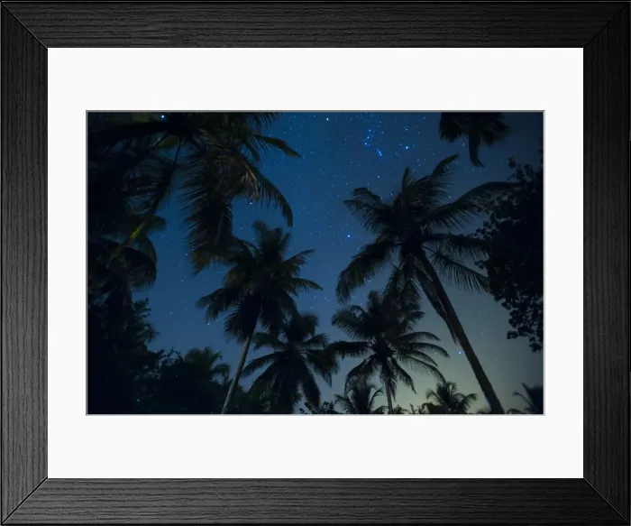 Framed Print : Swaying palm fronds and stars at Palomino on the Carribean coast of Colombia, South Framed Print : Swaying palm fronds and stars at Palomino on the Carribean coast of Colombia, South