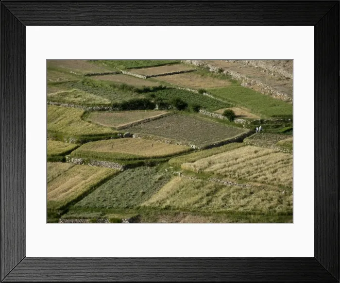 Framed Print : Wheat fields in the Panjshir Valley, Afghanistan, Asia Framed Print : Wheat fields in the Panjshir Valley, Afghanistan, Asia