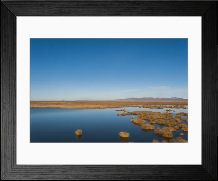Framed Print : Huahu (Flower Lake), an important wetland area which supports a large array of biodiversity Framed Print : Huahu (Flower Lake), an important wetland area which supports a large array of biodiversity