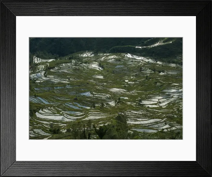 Framed Print : Fashioned over hundreds of years by the Hani, these terraces in Yunnan cover an area Framed Print : Fashioned over hundreds of years by the Hani, these terraces in Yunnan cover an area