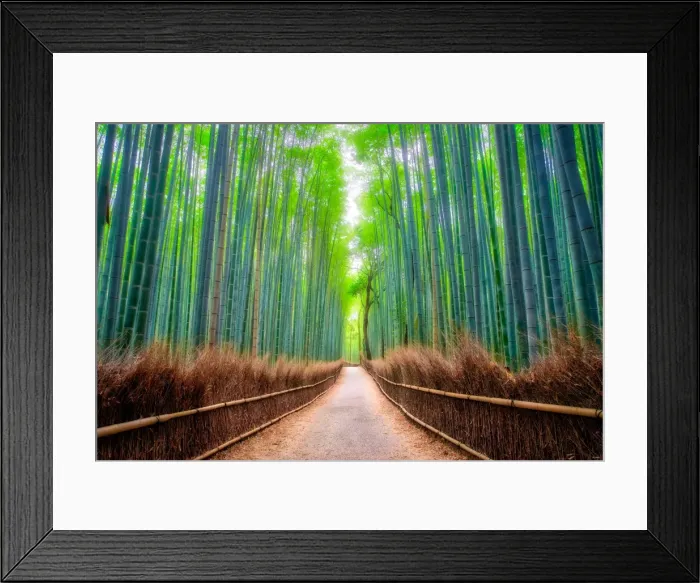 Framed Print : A path winds through an ancient bamboo forest in Kyoto, Japan, Asia Framed Print : A path winds through an ancient bamboo forest in Kyoto, Japan, Asia