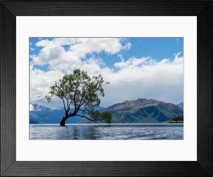 Framed Print : A lonely tree is silhouetted in a lake in the mountains, Wanaka, Otago, South Island Framed Print : A lonely tree is silhouetted in a lake in the mountains, Wanaka, Otago, South Island