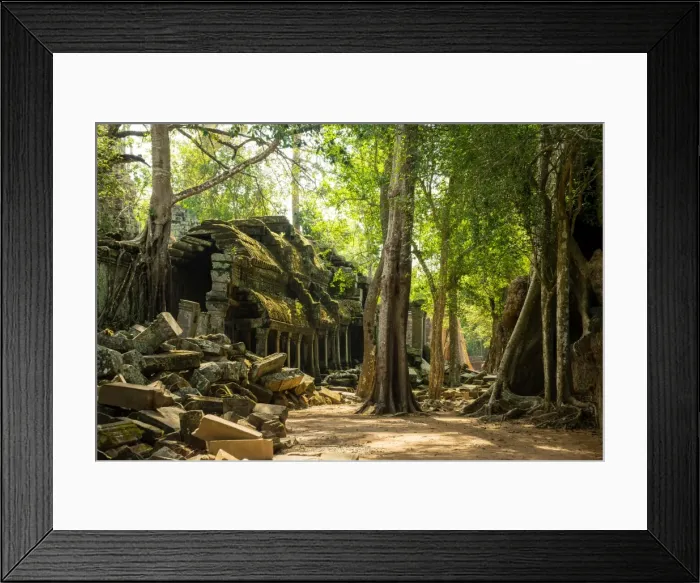 Framed Print : The jungle hides the ancient ruins of Ta Prohm in the Angkor National Park, Angkor Framed Print : The jungle hides the ancient ruins of Ta Prohm in the Angkor National Park, Angkor