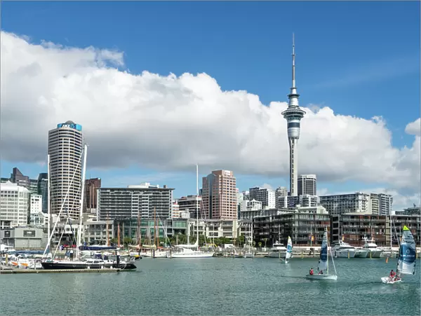 Small sailboats cruise in Auckland harbour in front of the city skyline, Auckland