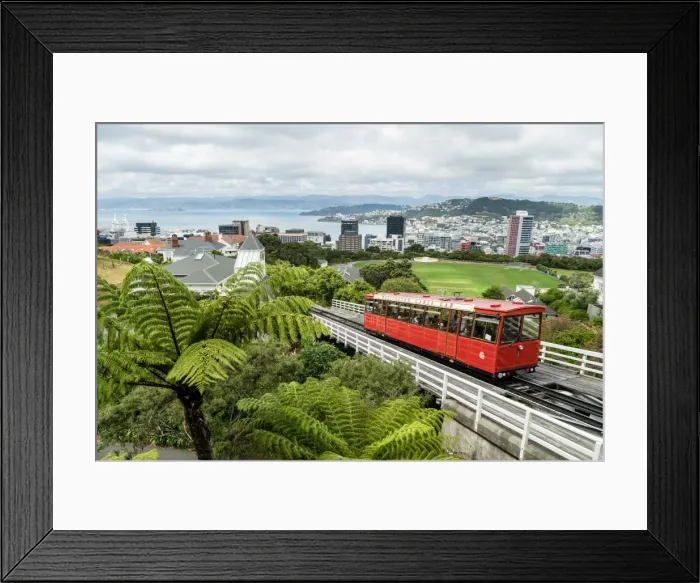 Framed Print : A cable car heads up the funicular railway high above Wellington, the capital city Framed Print : A cable car heads up the funicular railway high above Wellington, the capital city