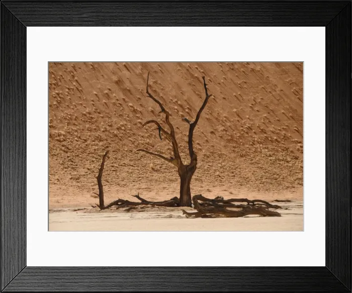 Framed Print : Skeleton trees, Sossusvlei (Death Valley), Namibia, Africa Framed Print : Skeleton trees, Sossusvlei (Death Valley), Namibia, Africa