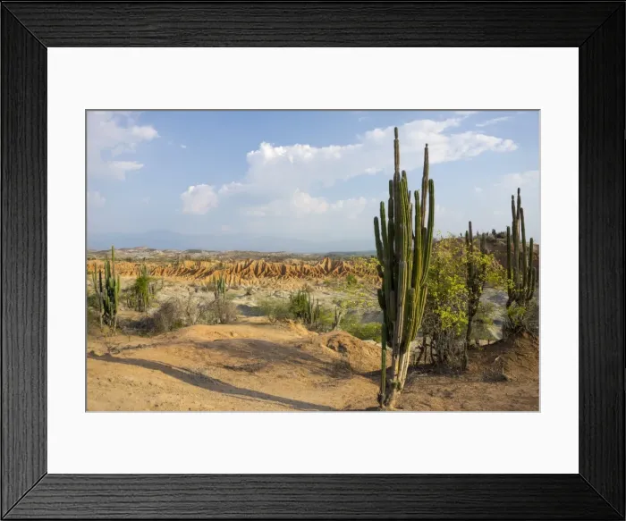 Framed Print : Desierto de Tatocoa (Tatacoa Desert), Colombia, South America Framed Print : Desierto de Tatocoa (Tatacoa Desert), Colombia, South America