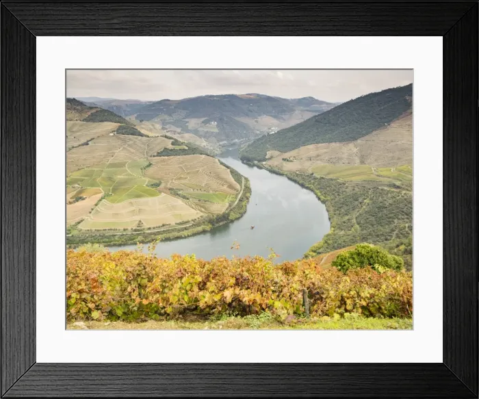 Framed Print : View over the River Duoro in autumn, Portugal, Europe Framed Print : View over the River Duoro in autumn, Portugal, Europe