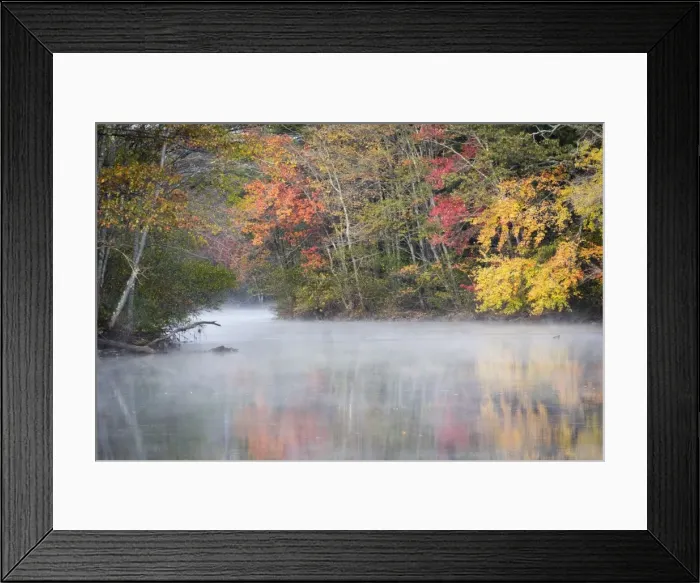 Framed Print : Morning mist and fall colours, River Pemigewasset, New Hampshire, New England, United Framed Print : Morning mist and fall colours, River Pemigewasset, New Hampshire, New England, United