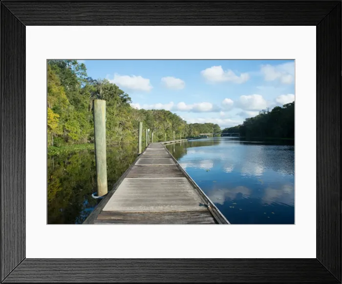 Framed Print : Boardwalk along Wades Creek, near St. Augustine, Florida, United States of America Framed Print : Boardwalk along Wades Creek, near St. Augustine, Florida, United States of America