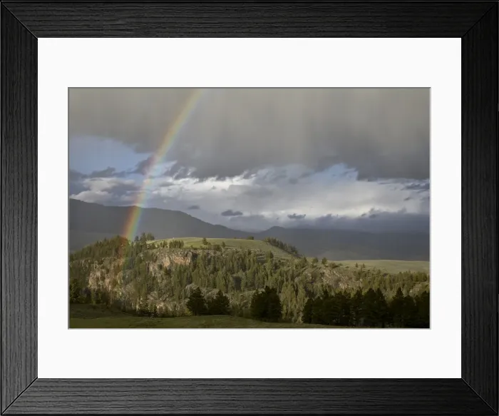 Framed Print : Rainbow, Yellowstone National Park, UNESCO World Heritage Site, Wyoming, United States of America Framed Print : Rainbow, Yellowstone National Park, UNESCO World Heritage Site, Wyoming, United States of America