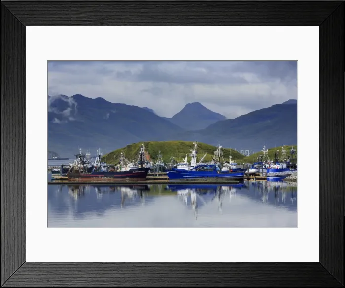Framed Print : Carl E. Moses Boat Harbor, Dutch Harbor, Amaknak Island, Aleutian Islands, Alaska Framed Print : Carl E. Moses Boat Harbor, Dutch Harbor, Amaknak Island, Aleutian Islands, Alaska