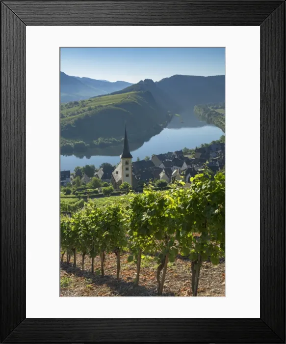 Framed Print : View of River Moselle and St. Lawrences Church, Bremm, Rhineland-Palatinate, Germany Framed Print : View of River Moselle and St. Lawrences Church, Bremm, Rhineland-Palatinate, Germany