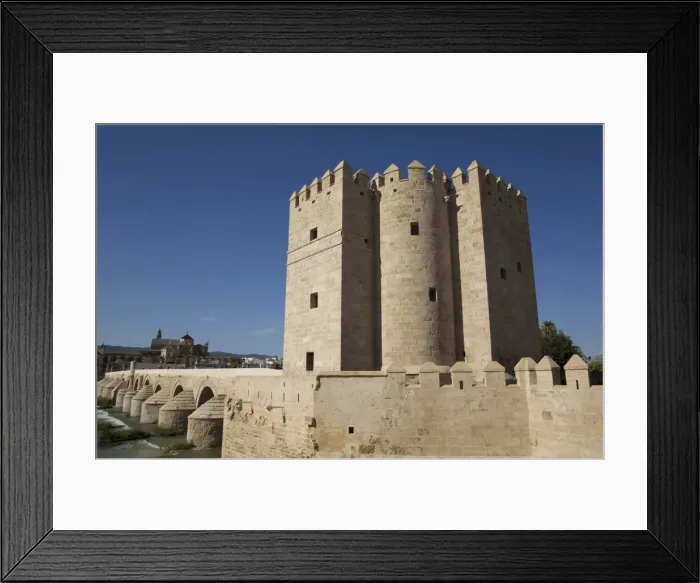Framed Print : The Living Museum of Al-Andalus in the foreground and The Great Mosque (Mesquita) Framed Print : The Living Museum of Al-Andalus in the foreground and The Great Mosque (Mesquita)