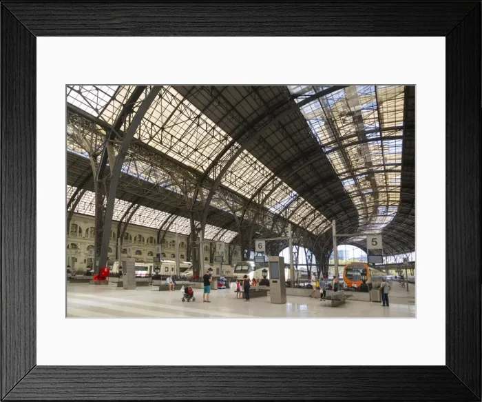 Framed Print : Estacon de Francia, Barcelona, Catalonia, Spain, Europe Framed Print : Estacon de Francia, Barcelona, Catalonia, Spain, Europe