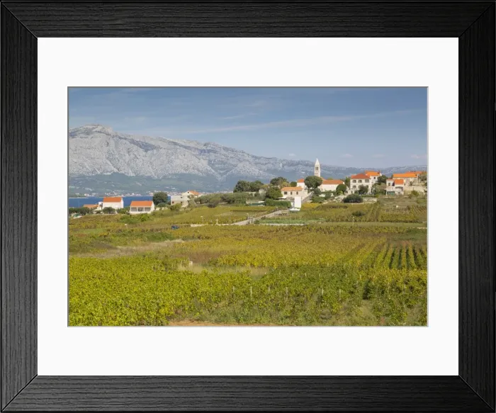 Framed Print : View of town and vineyard, Lumbarda, Korcula, Dubrovnik-Neretva County, Dalmatia Framed Print : View of town and vineyard, Lumbarda, Korcula, Dubrovnik-Neretva County, Dalmatia