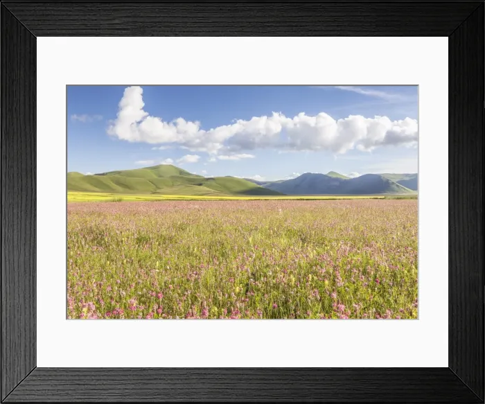 Framed Print : The Piano Grande in the Monti Sibillini, Umbria, Italy, Europe Framed Print : The Piano Grande in the Monti Sibillini, Umbria, Italy, Europe