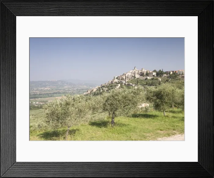Framed Print : Olive grove near to Trevi in the Val di Spoleto, Umbria, Italy, Europe Framed Print : Olive grove near to Trevi in the Val di Spoleto, Umbria, Italy, Europe