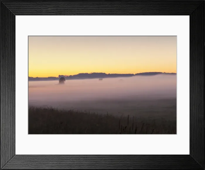 Framed Print : Early morning fog, landscape near Bad Buchau, Upper Swabia, Baden-Wurttemberg, Germany Framed Print : Early morning fog, landscape near Bad Buchau, Upper Swabia, Baden-Wurttemberg, Germany