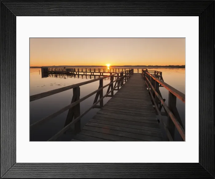 Framed Print : Federsee Lake at sunrise, Nature reserve, Bad Buchau, Upper Swabia, Baden-Wurttemberg Framed Print : Federsee Lake at sunrise, Nature reserve, Bad Buchau, Upper Swabia, Baden-Wurttemberg