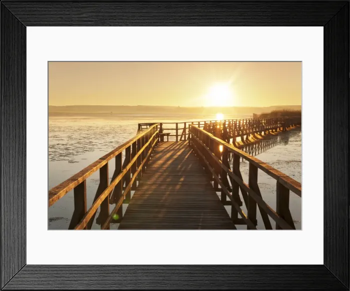 Framed Print : Federsee Lake at sunrise, Nature reserve, Bad Buchau, Upper Swabia, Baden-Wurttemberg Framed Print : Federsee Lake at sunrise, Nature reserve, Bad Buchau, Upper Swabia, Baden-Wurttemberg