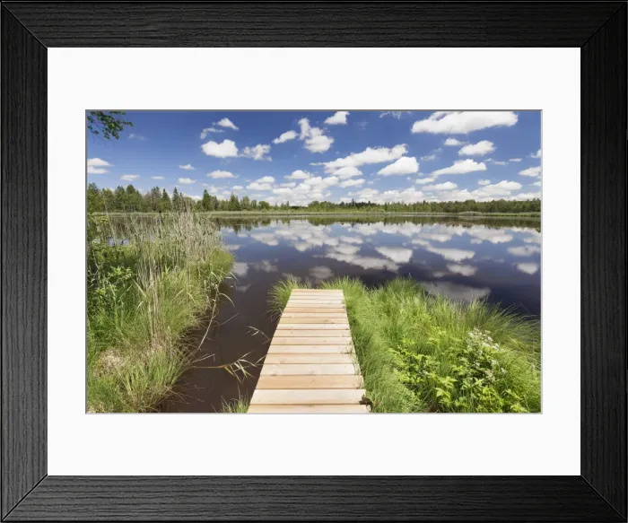 Framed Print : Jetty and cumulus clouds, Wurzacher Ried Moor, Bad Wurzach, Upper Swabia, Baden-Wurttemberg Framed Print : Jetty and cumulus clouds, Wurzacher Ried Moor, Bad Wurzach, Upper Swabia, Baden-Wurttemberg