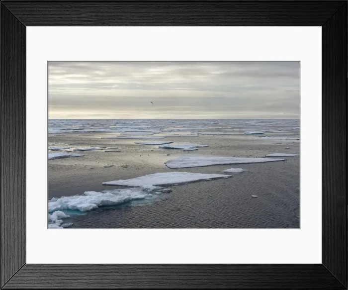 Framed Print : Arctic Ocean, Norway, Scandinavia, Europe Framed Print : Arctic Ocean, Norway, Scandinavia, Europe