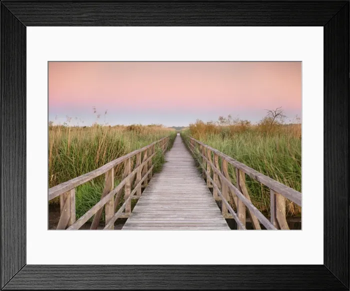 Framed Print : Boardwalk at sunrise, Federsee Lake, Nature reserve, Bad Buchau, Upper Swabia, Baden-Wurttemberg Framed Print : Boardwalk at sunrise, Federsee Lake, Nature reserve, Bad Buchau, Upper Swabia, Baden-Wurttemberg