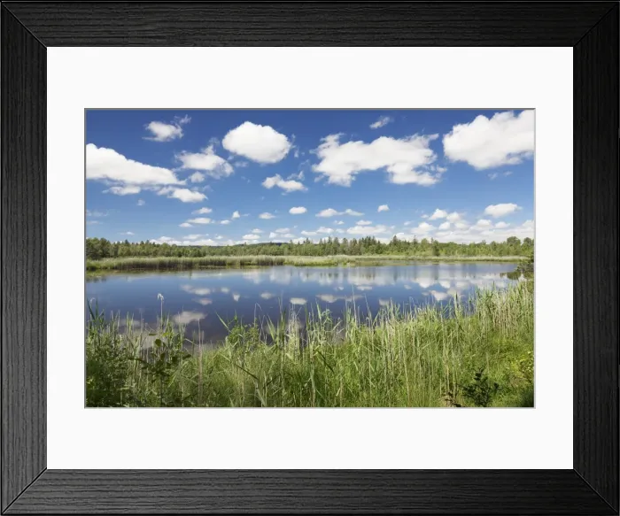 Framed Print : Wurzacher Ried Moor, Bad Wurzach, Upper Swabia, Baden-Wurttemberg, Germany, Europe Framed Print : Wurzacher Ried Moor, Bad Wurzach, Upper Swabia, Baden-Wurttemberg, Germany, Europe
