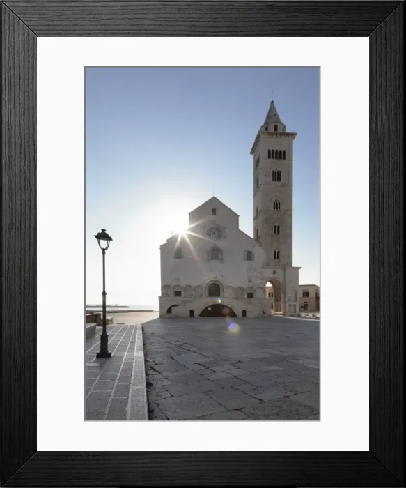 Framed Print : San Nicola Pellegrino cathedral, Piazza del Duomo, Trani, Le Murge, Barletta-Andria-Trani district Framed Print : San Nicola Pellegrino cathedral, Piazza del Duomo, Trani, Le Murge, Barletta-Andria-Trani district