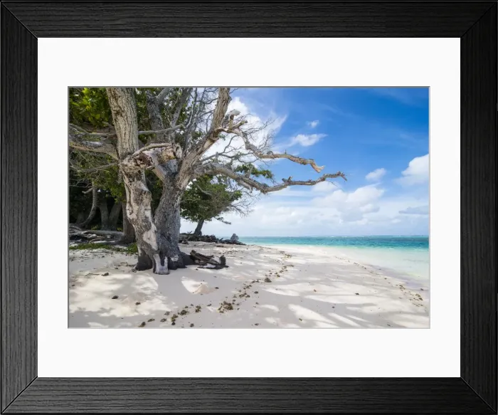 Framed Print : White sand and turquoise water at Laura (Lowrah) beach, Majuro atoll, Majuro, Marshall Islands Framed Print : White sand and turquoise water at Laura (Lowrah) beach, Majuro atoll, Majuro, Marshall Islands