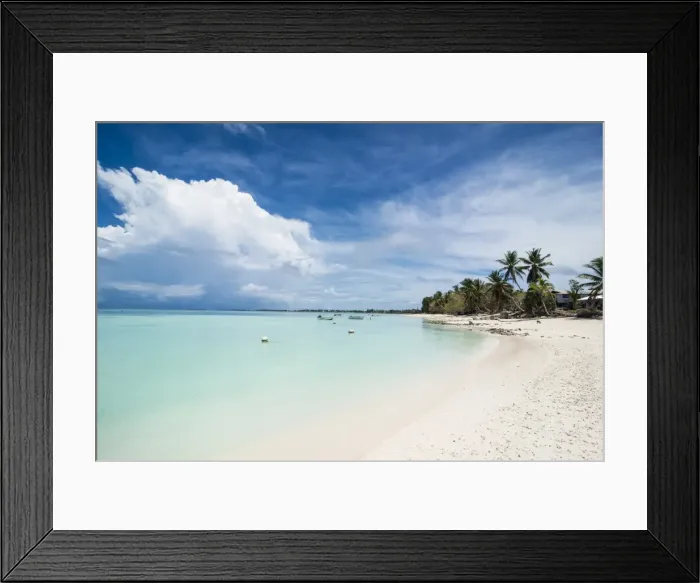 Framed Print : White sand and turquoise water in the beautiful lagoon of Funafuti, Tuvalu, South Pacific Framed Print : White sand and turquoise water in the beautiful lagoon of Funafuti, Tuvalu, South Pacific
