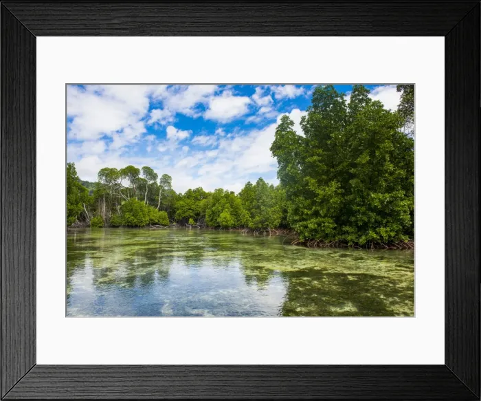 Framed Print : Crystal clear water in the Utwe lagoon, UNESCO Biosphere Reserve, Kosrae, Federated Framed Print : Crystal clear water in the Utwe lagoon, UNESCO Biosphere Reserve, Kosrae, Federated
