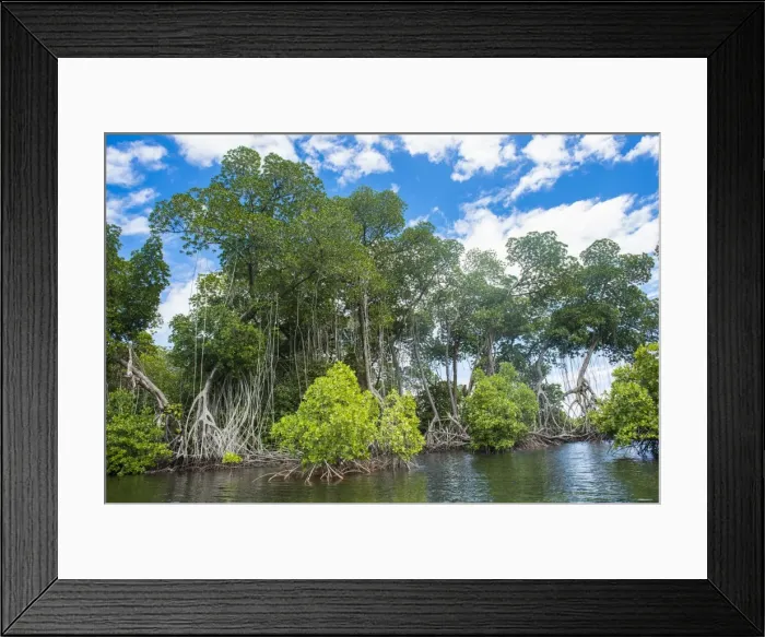 Framed Print : Crystal clear water in the Utwe lagoon, UNESCO Biosphere Reserve, Kosrae, Federated Framed Print : Crystal clear water in the Utwe lagoon, UNESCO Biosphere Reserve, Kosrae, Federated