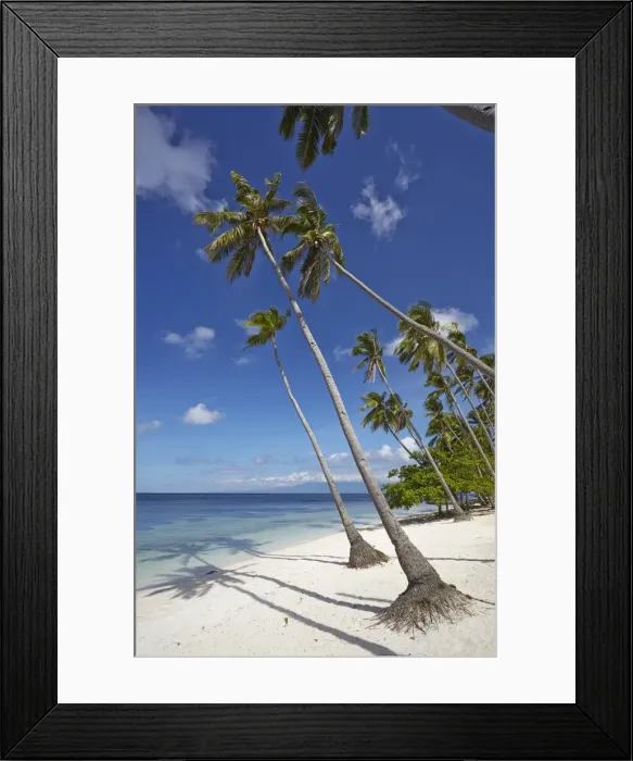 Framed Print : Paliton Beach, near San Juan, Siquijor, Philippines, Southeast Asia, Asia Framed Print : Paliton Beach, near San Juan, Siquijor, Philippines, Southeast Asia, Asia