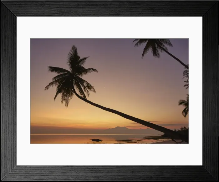 Framed Print : A dusk silhouette of coconut palms at Paliton beach, Siquijor, Philippines, Southeast Asia Framed Print : A dusk silhouette of coconut palms at Paliton beach, Siquijor, Philippines, Southeast Asia