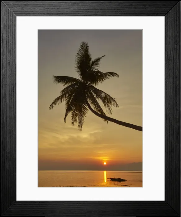 Framed Print : A sunset silhouette of a coconut palm at Paliton beach, Siquijor, Philippines, Southeast Asia Framed Print : A sunset silhouette of a coconut palm at Paliton beach, Siquijor, Philippines, Southeast Asia