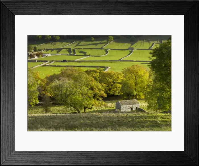 Framed Print : Kettlewell village field sysyem, out barns and dry stone walls, in Wharfedale, The Yorkshire Dales Framed Print : Kettlewell village field sysyem, out barns and dry stone walls, in Wharfedale, The Yorkshire Dales
