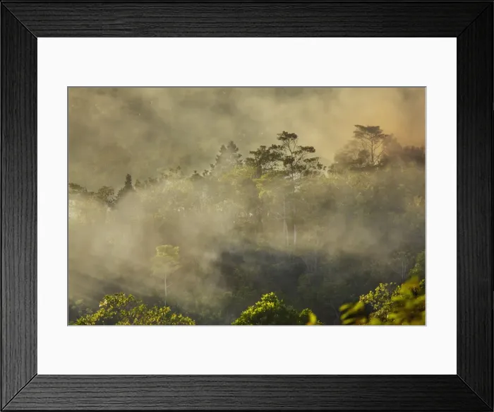 Framed Print : Smoke from a fire drifts across rainforest, near San Juan, Siquijor, Philippines Framed Print : Smoke from a fire drifts across rainforest, near San Juan, Siquijor, Philippines