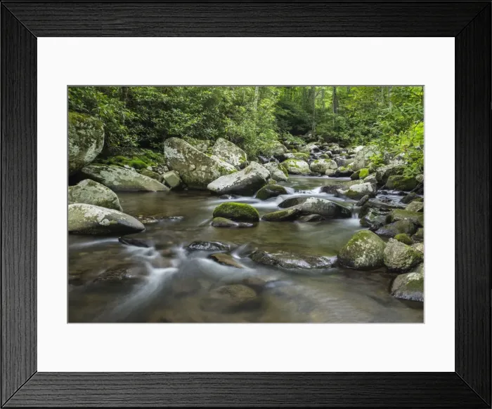 Framed Print : Mountain creek flowing through dense forest woods near the Appalachian Trail, North Carolina Framed Print : Mountain creek flowing through dense forest woods near the Appalachian Trail, North Carolina