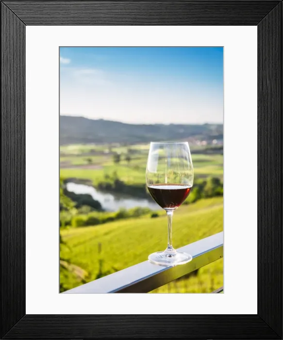 Framed Print : Single wine glass above vineyards, Piedmont, Italy, Europe Framed Print : Single wine glass above vineyards, Piedmont, Italy, Europe